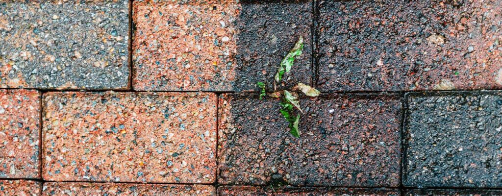 dansk fliserens flotte fliser